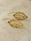 Elm Leaf Brushed Gold Earrings