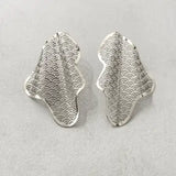 Waves Stainless Steel  Earrings