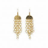 Penny Stainless Steel Dangle Earrings