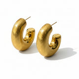 Aryeh Brushed Gold  Earrings 